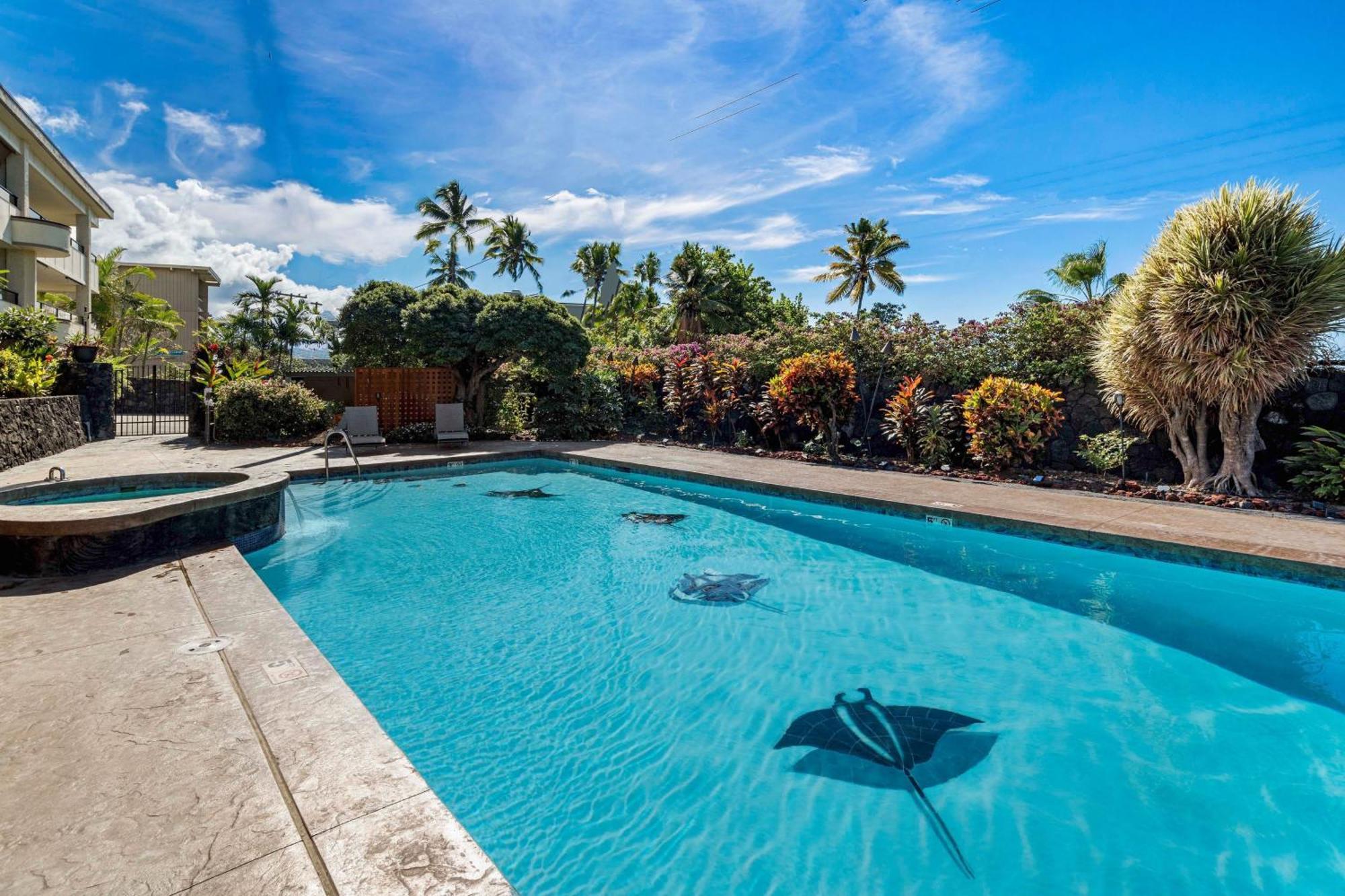 Direct Oceanview Paradise In A Luxury Condo 2B2B,Ac Kailua-Kona Luaran gambar